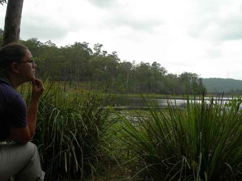 Filosofische kinkrabberij