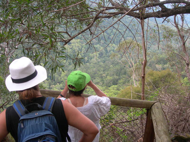 Sonja zoekt nog steeds Koala