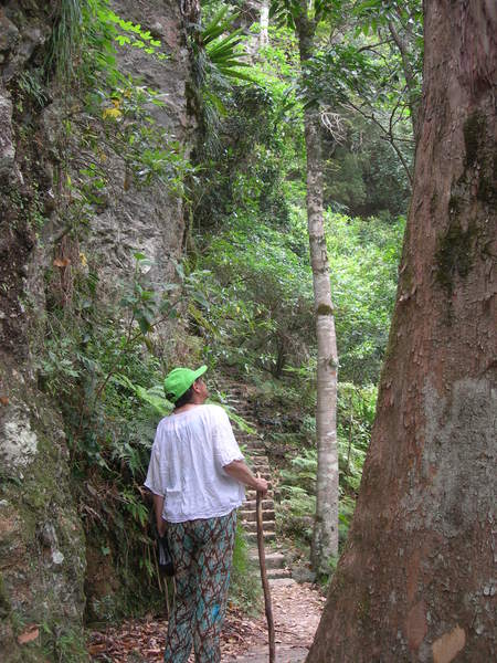 Sonja met boom en rots