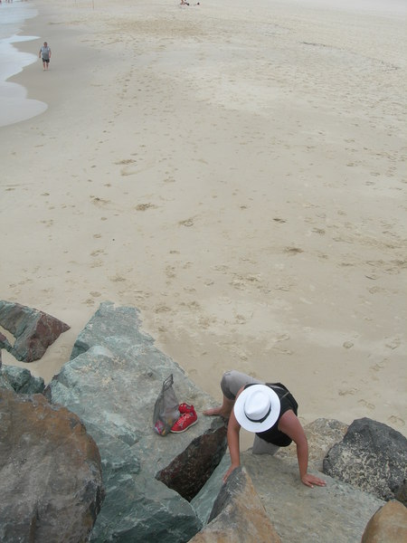 Sirée bestijgt een rotsblok