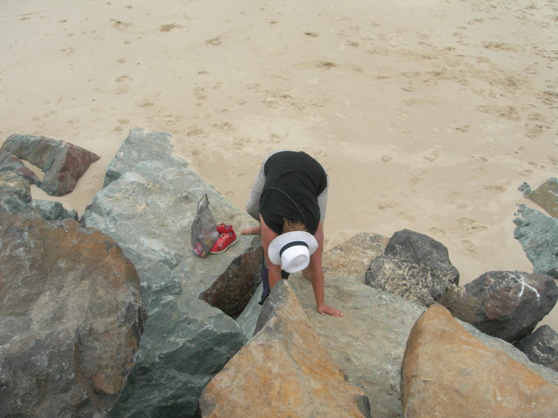 Sirée bestijgt een rotsblok, awesomer