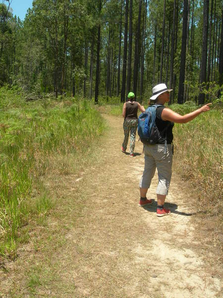 Genieter vs Stevenaar